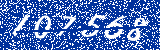 Capcha image